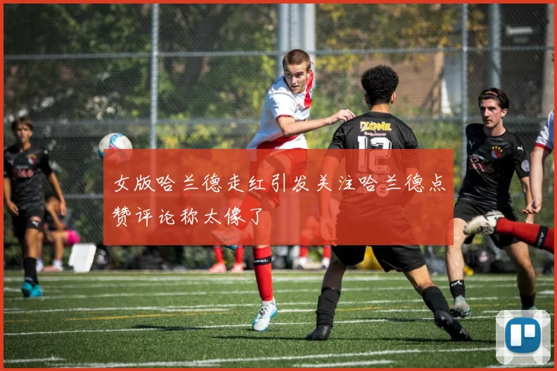 女版哈兰德走红引发关注哈兰德点赞评论称太像了